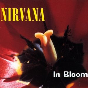 In Bloom Album 