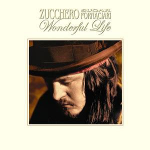 Wonderful Life Album 