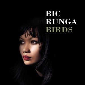 Bic Runga Birds, 2005