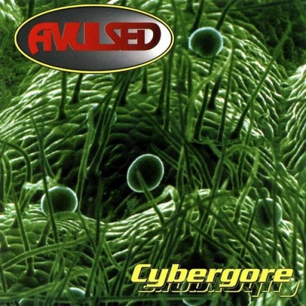 Avulsed Cybergore, 1998