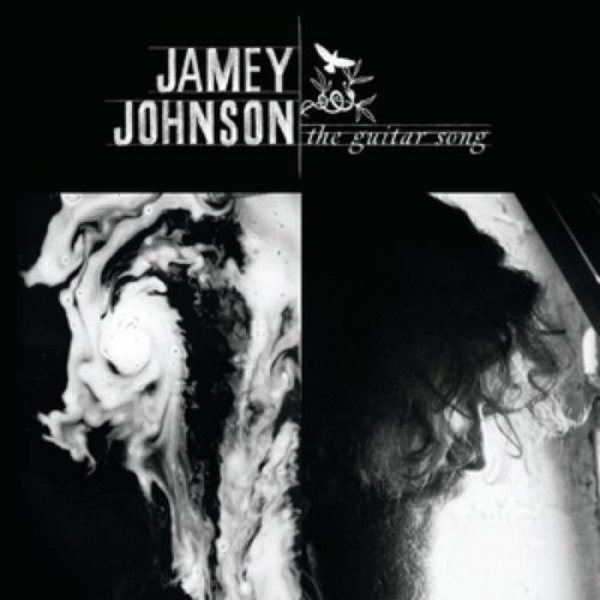 Jamey Johnson The Guitar Song, 2010