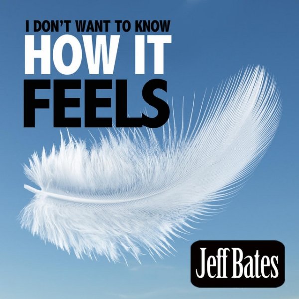 I Don't Want to Know How It Feels Album 