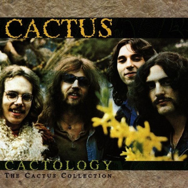 Cactus Cactology: The Cactus Collection, 1996