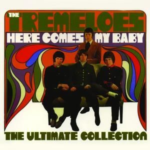 The Tremeloes Here Comes My Baby: The Ultimate Collection, 2004