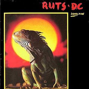 The Ruts Animal Now, 1981
