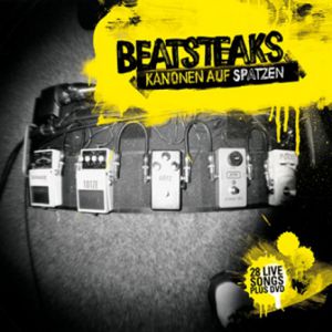 Beatsteaks Kanonen auf Spatzen, 2008