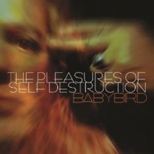 The Pleasures of Self Destruction Album 