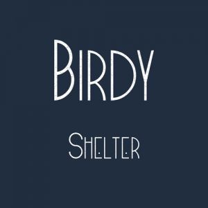 Shelter Album 