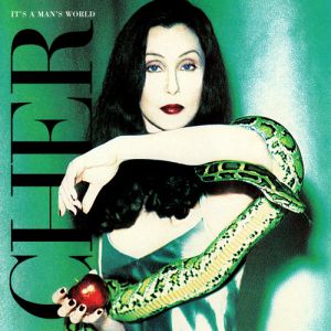 Cher It's a Man's World, 1995