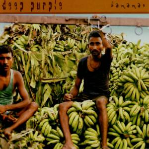 Deep Purple Bananas, 2003