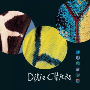 Dixie Chicks Fly, 1999