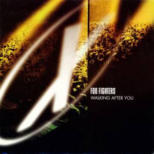 Album Walking After You - Foo Fighters