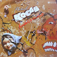 Album Michael Kocáb - Povídali, že mu hráli