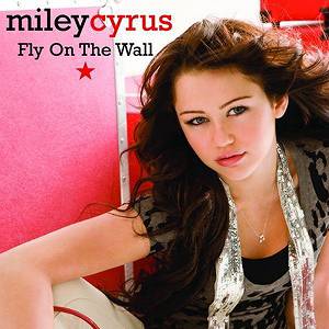 Fly On The Wall Album 