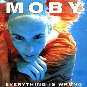 Everything Is Wrong Album 