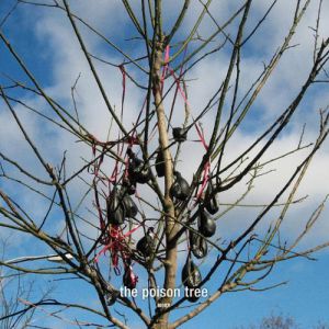 The Poison Tree Album 