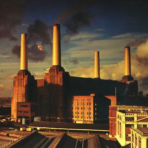 Pink Floyd Animals, 1977