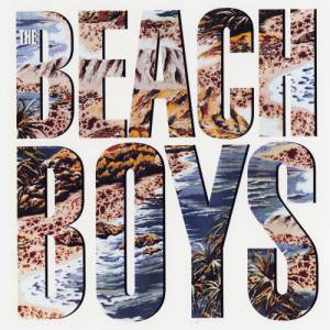 Beach Boys The Beach Boys, 1985