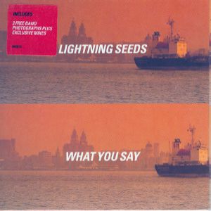 Album The Lightning Seeds - What You Say
