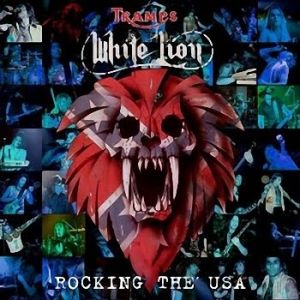 Rocking the USA - album