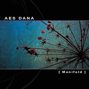 Aes Dana Manifold, 2007
