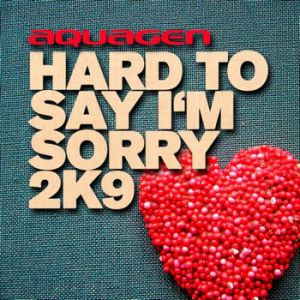 Hard To Say I'm Sorry 2K9 Album 