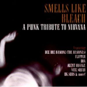 Smells Like Bleach: A Tribute to Nirvana Album 