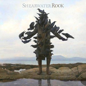 Shearwater Rook, 2008