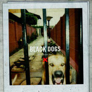 Black Dogs Album 
