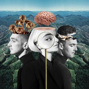 Clean Bandit What Is Love?, 2018