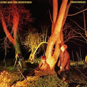 Album Echo & the Bunnymen - Crocodiles