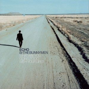 Echo & the Bunnymen What Are You Going to Do with Your Life?, 1999
