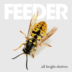 Feeder All Bright Electric, 2016