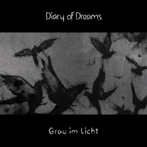 Diary of Dreams Grau im Licht, 2015