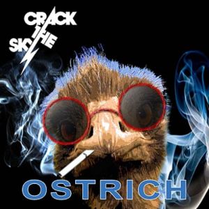 Crack the Sky Ostrich, 2012