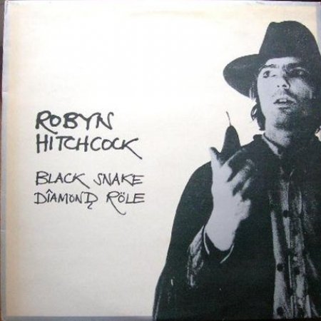 Robyn Hitchcock Black Snake Diamond Röle, 1981