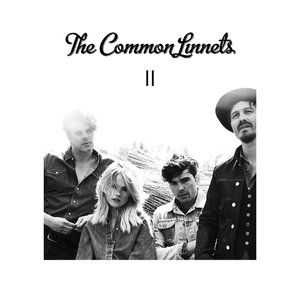 The Common Linnets II, 2015