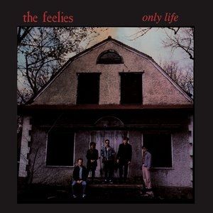The Feelies Only Life, 1988