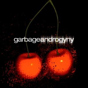 Album Garbage - Androgyny