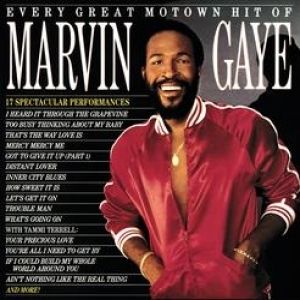 Marvin Gaye Every Great Motown Hit of Marvin Gaye, 1983