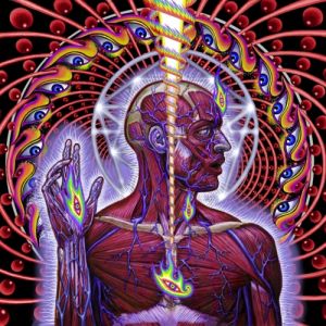 Tool Lateralus, 2001