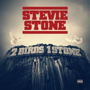 Stevie Stone 2 Birds 1 Stone, 2013