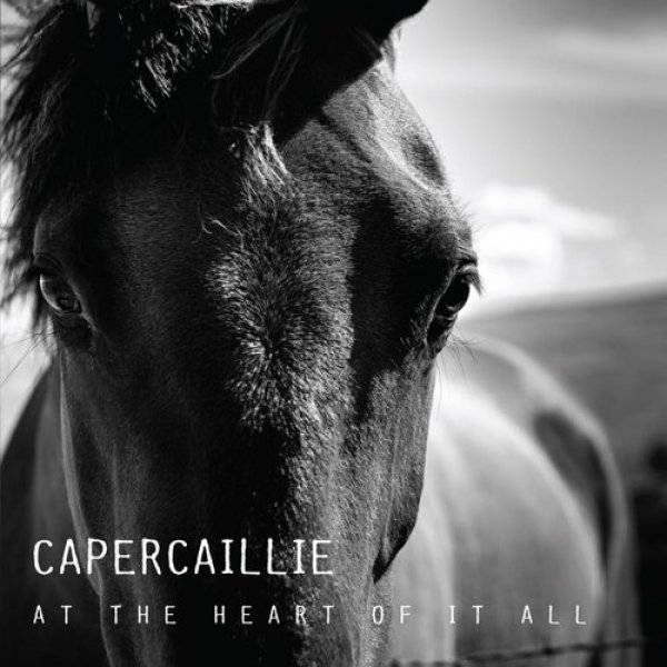Capercaillie At the Heart of It All, 2013