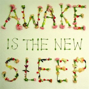 Ben Lee Awake Is the New Sleep, 2005