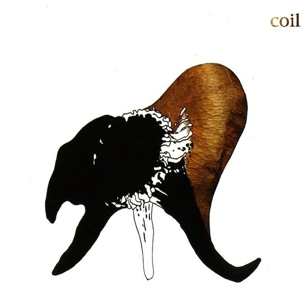 Coil Black Antlers, 2004