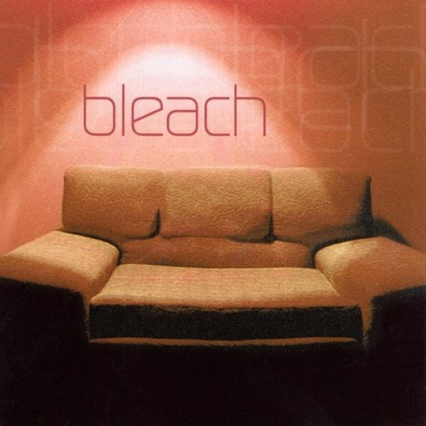 Bleach Bleach, 1999