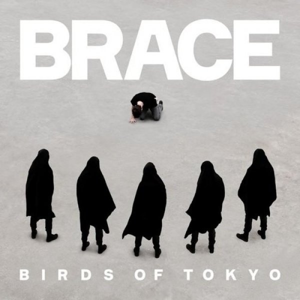 Birds of Tokyo Brace, 2016