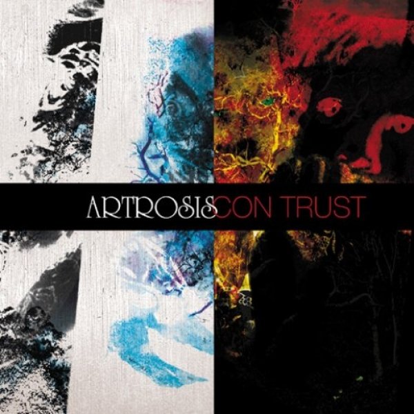 Artrosis Con Trust, 2006