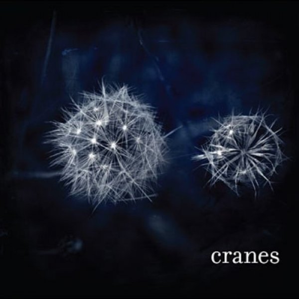 Cranes Cranes, 2008