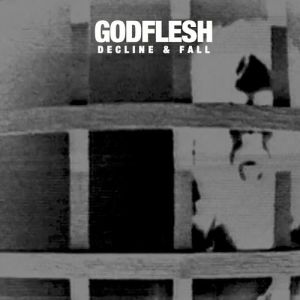 Godflesh Decline & Fall, 2014